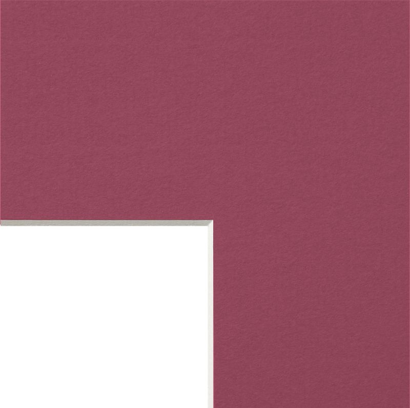 PASSEPARTOUT IN FOGLI ROSSO W132 - angolo