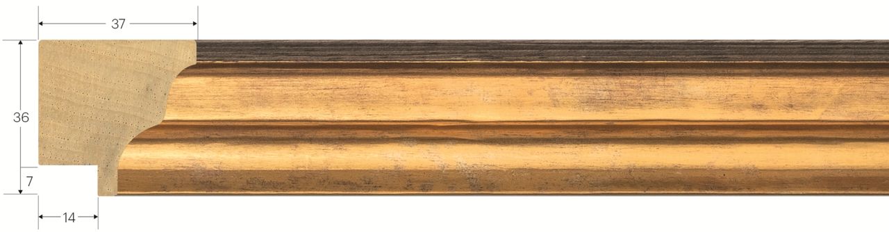 ASTA ELEGANCE SERIE DAFNE 7010 - frontale
