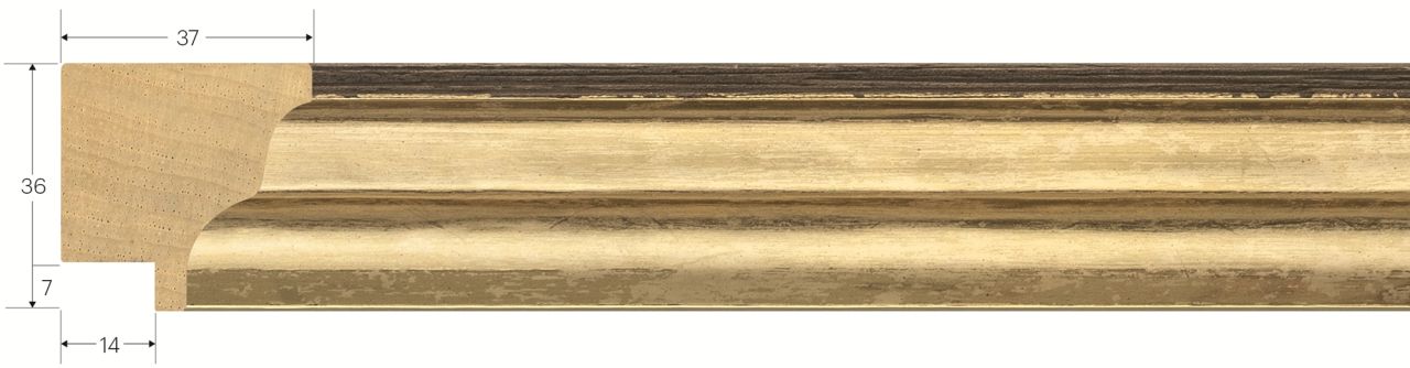 ASTA ELEGANCE SERIE DAFNE 7010 - frontale