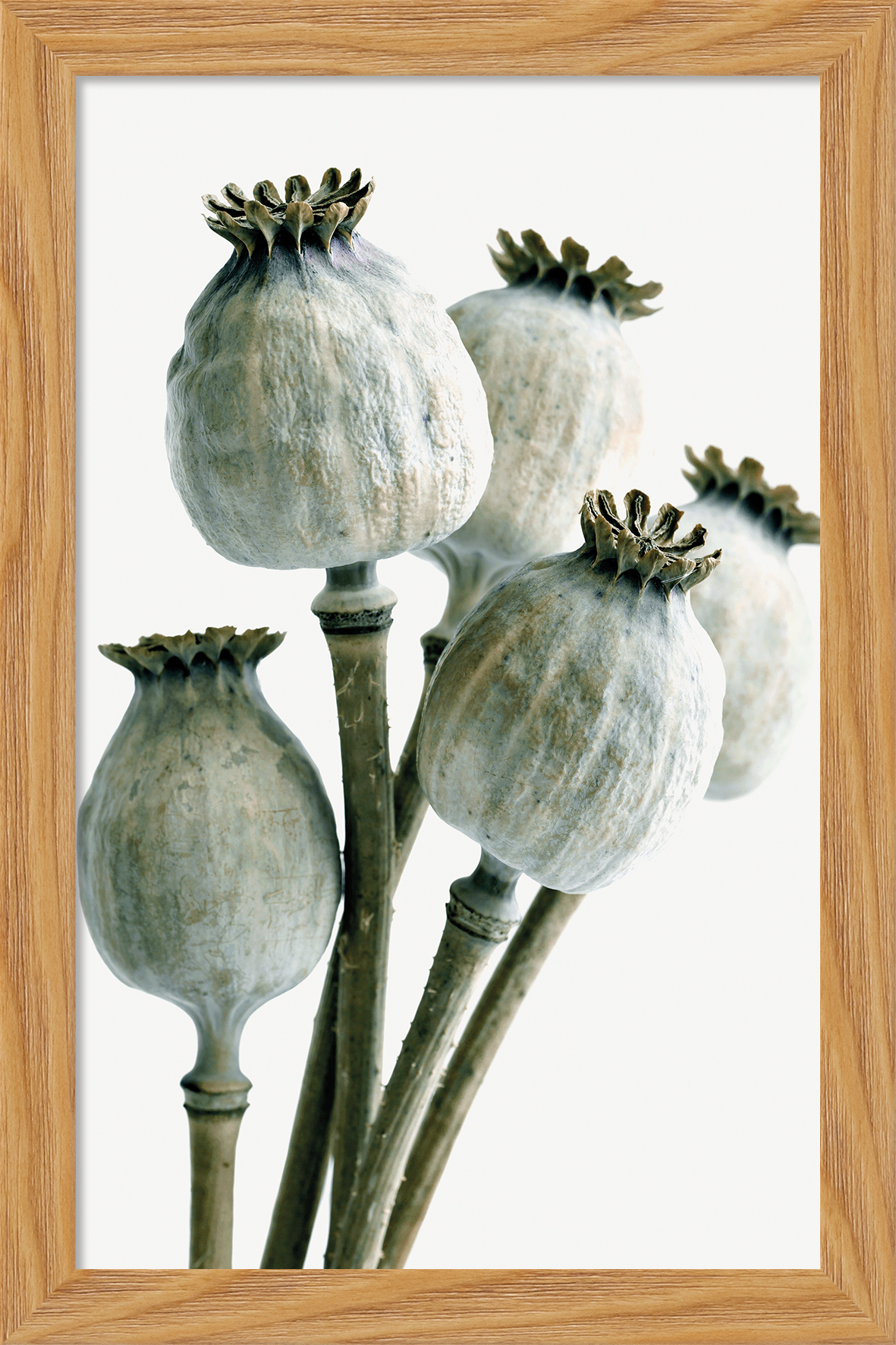 6340/01 INT.17,8X27,8-EST.20X30 + DP. 007_1727 - catalogo