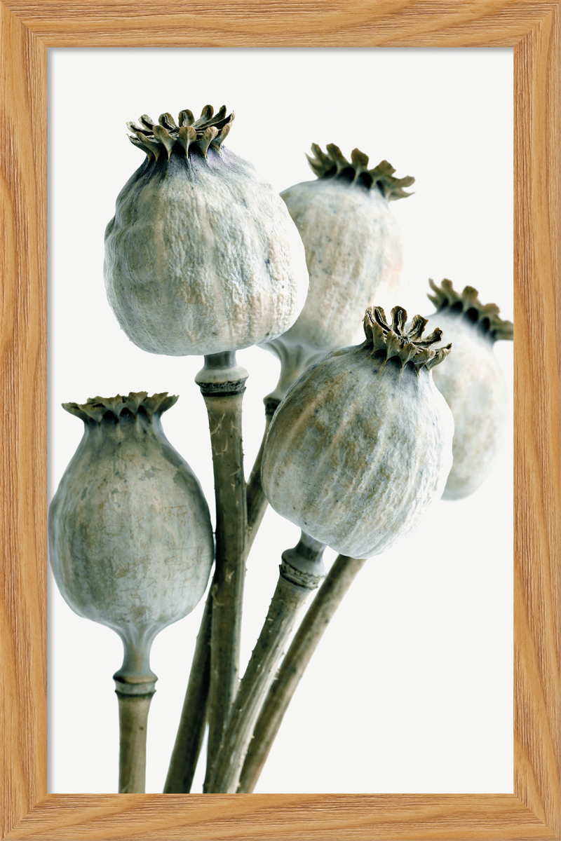 6340/01 INT.17,8X27,8-EST.20X30 + DP. 007_1727 - catalogo