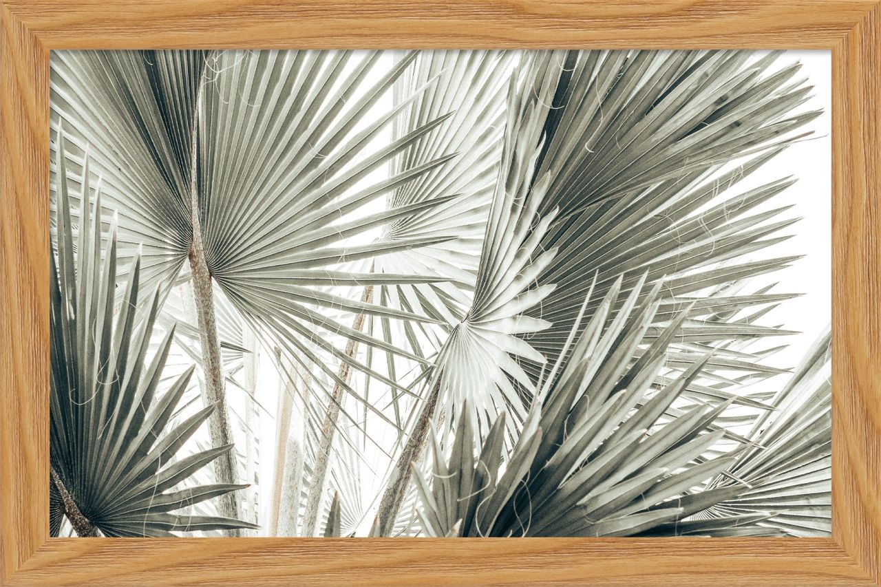DECOPOSTER OAK DP08 - catalogo