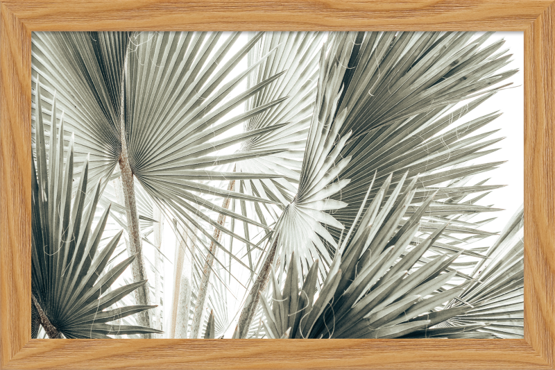 6340/01 INT.17,8X27,8-EST.20X30 + DP.008_1727 - catalogo