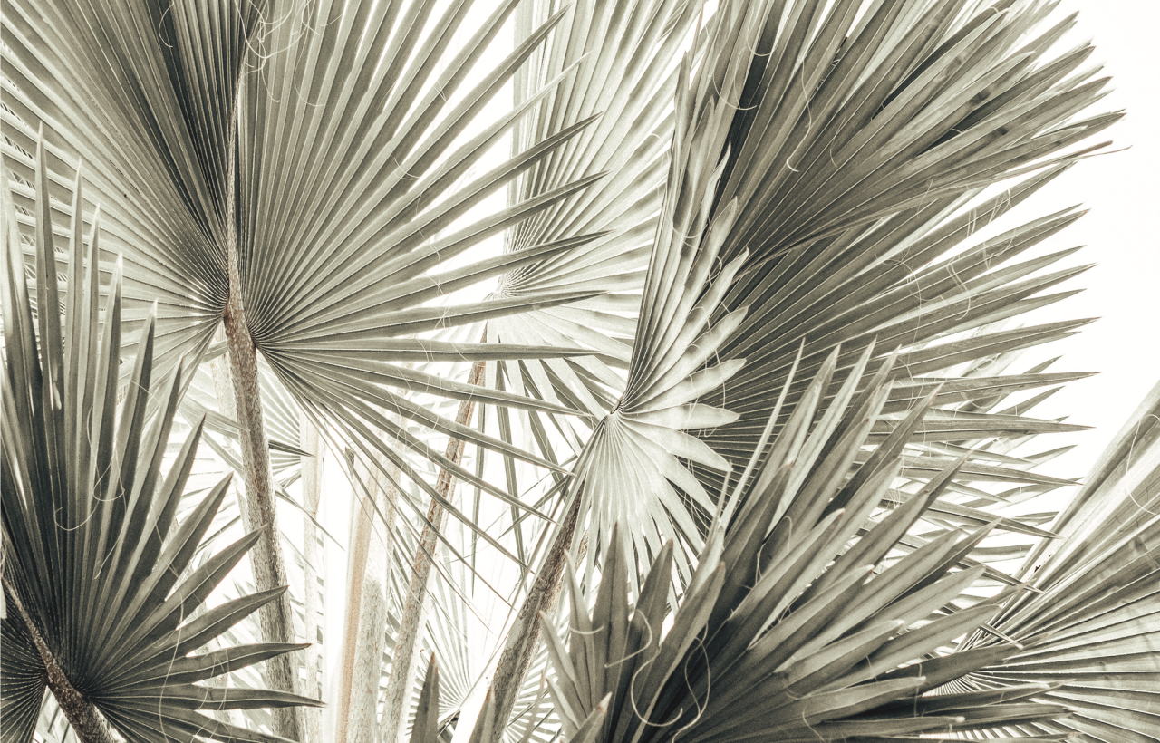 6340/01 INT.17,8X27,8-EST.20X30 + DP.008_1727 - frontale