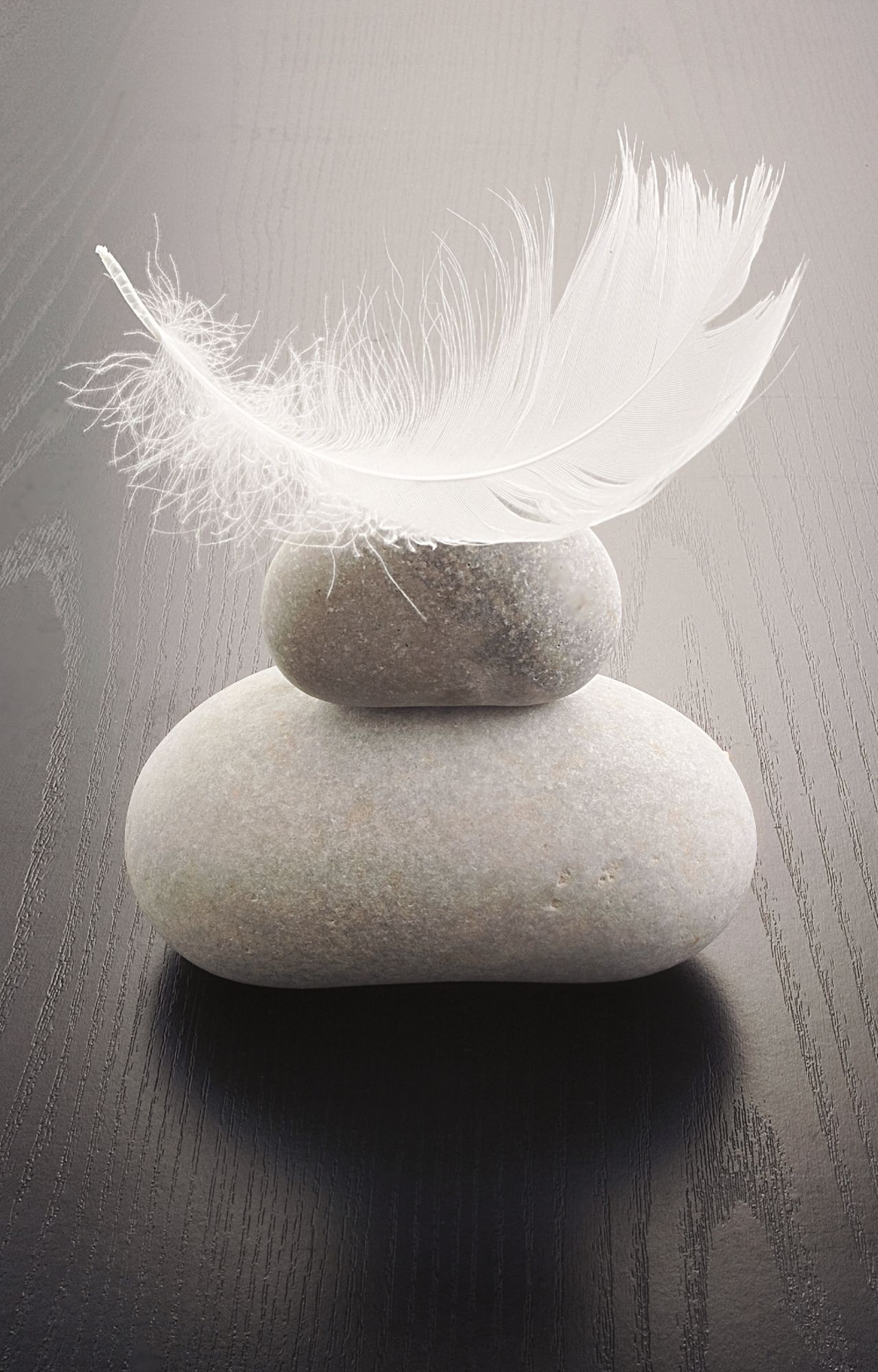 DECOPOSTER BLACK DP19 - frontale