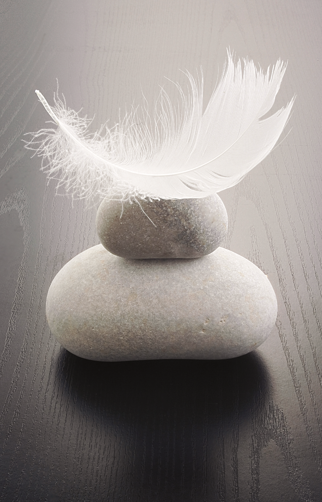 6340/09 INT.17,8X27,8-EST.20X30 + DP. 019_1727 - frontale