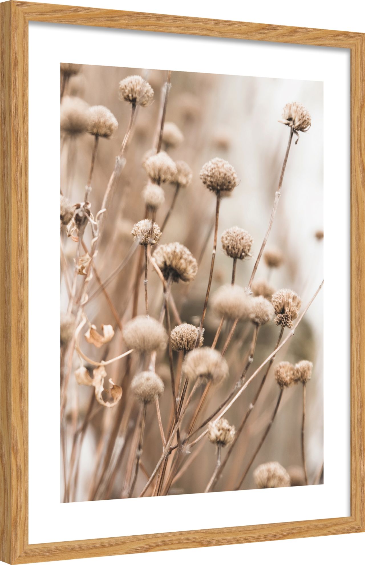 DECOPOSTER OAK DP54 - laterale