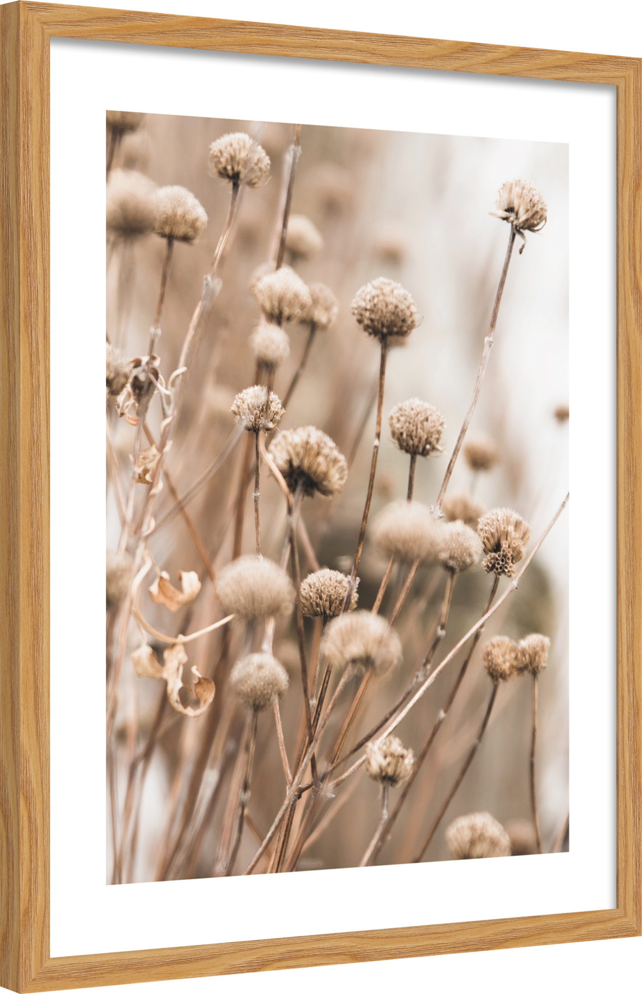 6340/01 INT.37,8X47,8-EST.40X50 + DP. 054_3747 - laterale