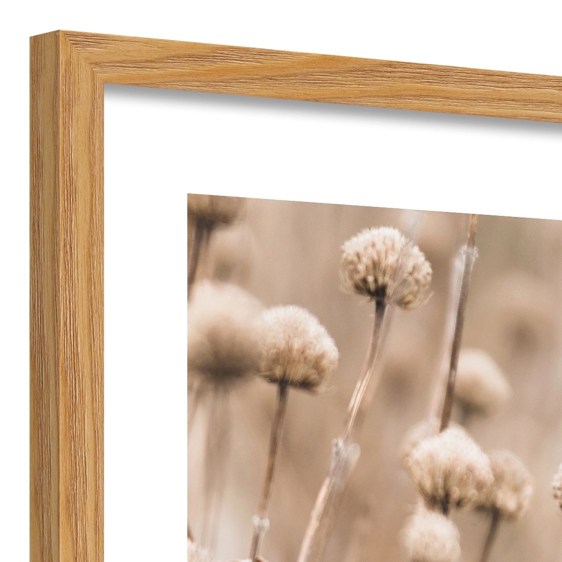 DECOPOSTER OAK DP54