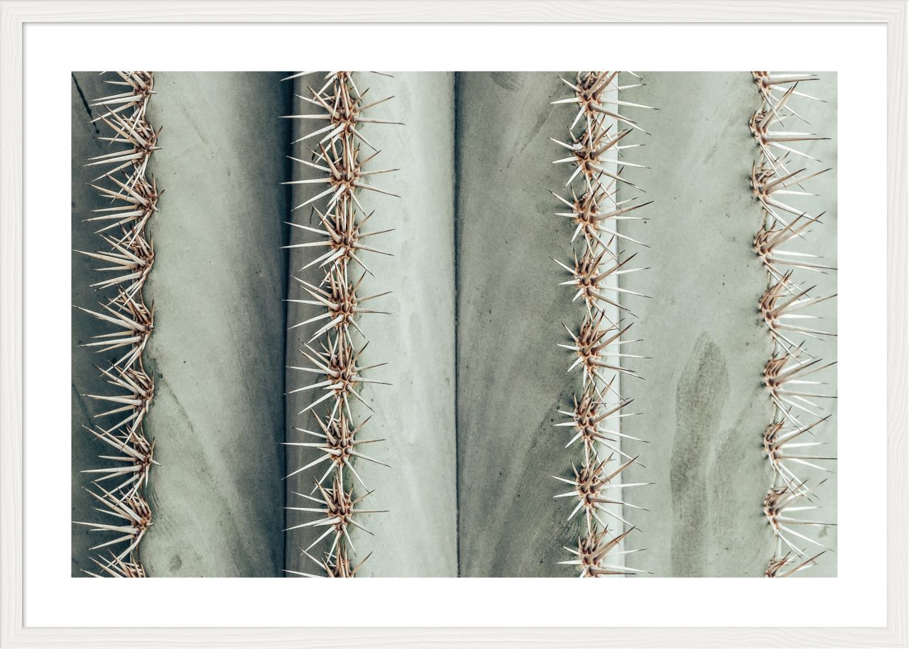 DECOPOSTER WHITE DP68 - catalogo