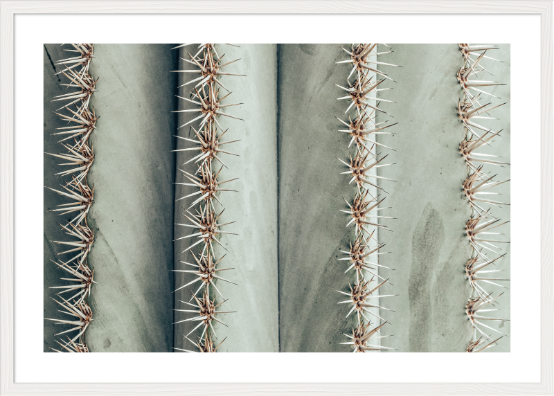 6340/08 INT.47,8X67,8-EST.50X70 + DP. 068_4767 - catalogo