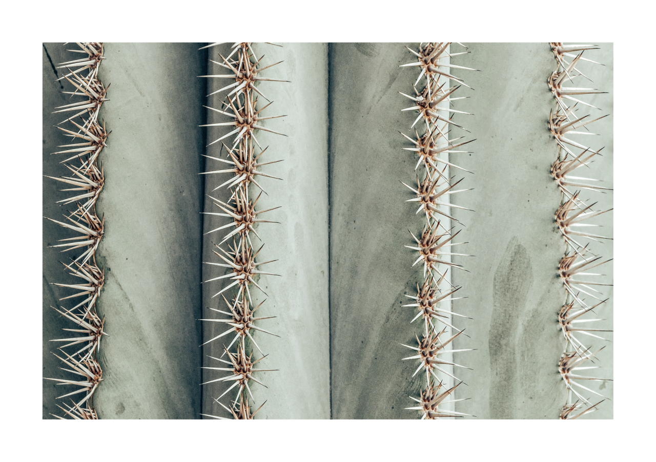 6340/08 INT.47,8X67,8-EST.50X70 + DP. 068_4767 - frontale