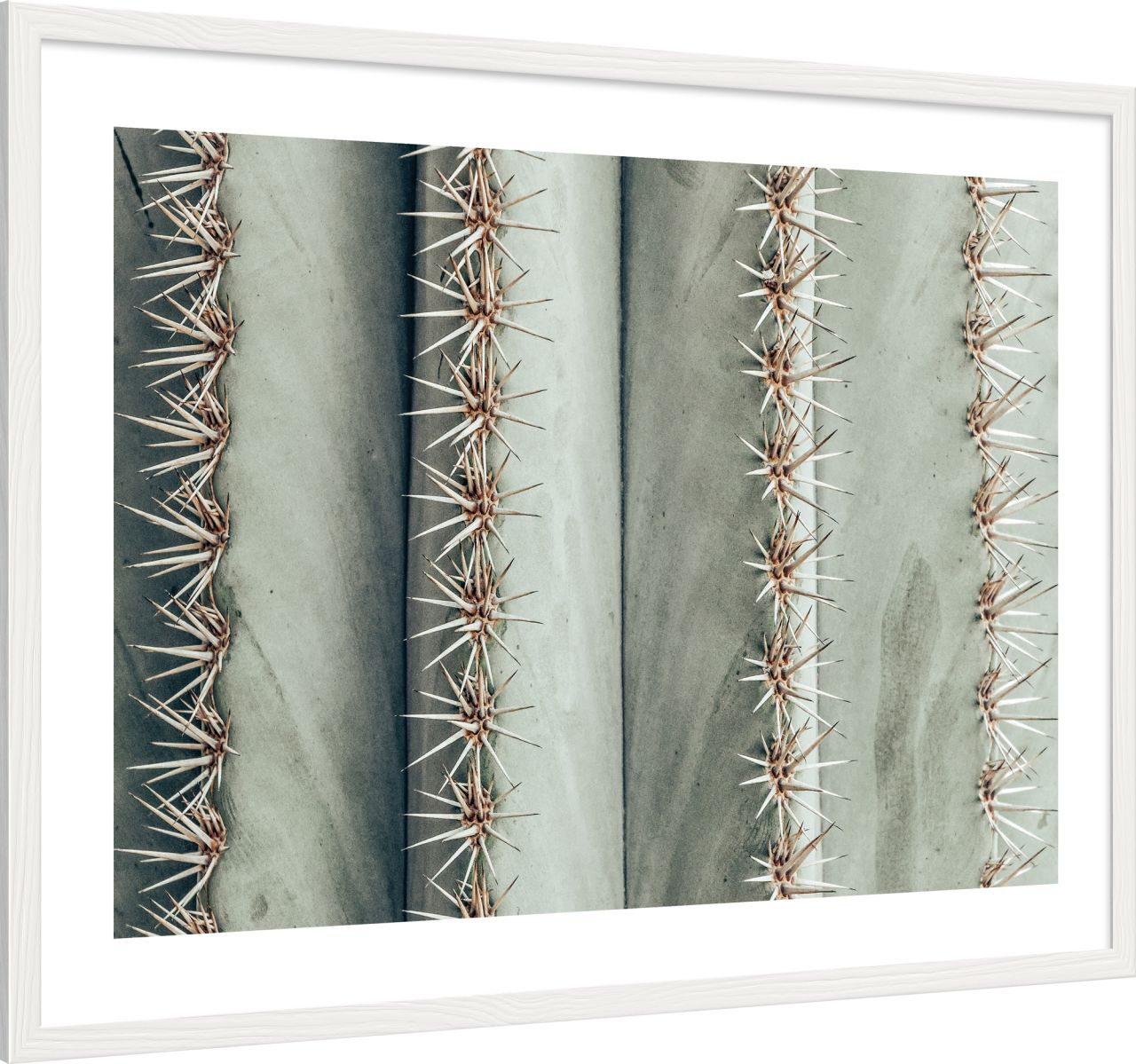 DECOPOSTER WHITE DP68 - laterale