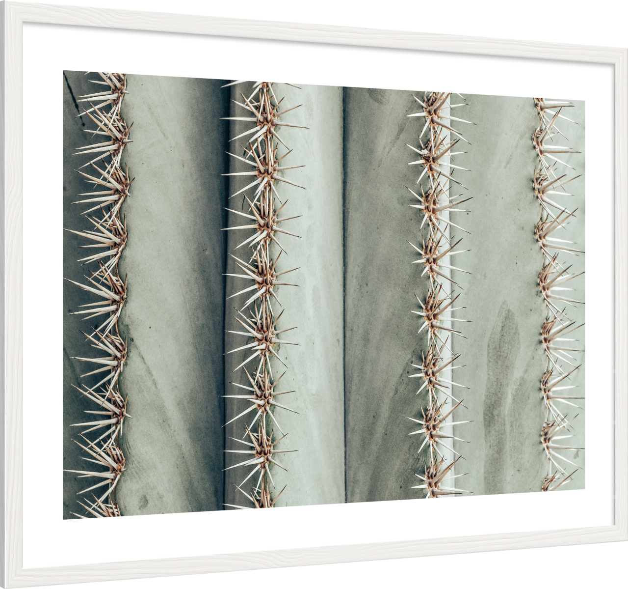 6340/08 INT.47,8X67,8-EST.50X70 + DP. 068_4767 - laterale