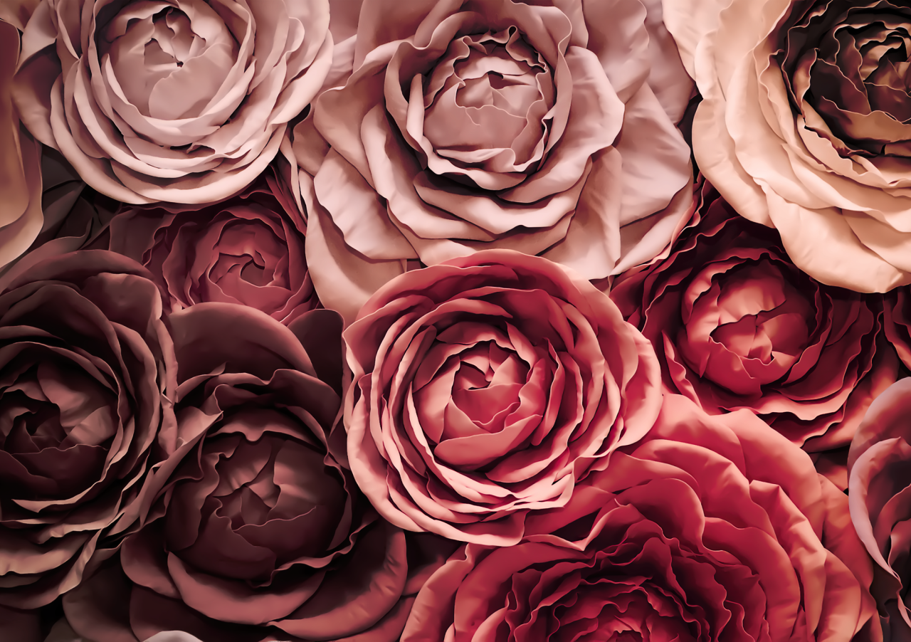 6340/09 INT.47,8X67,8-EST.50X70 + DP. 072_4767 - frontale