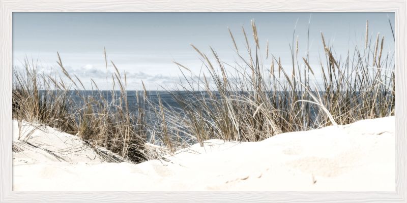 DECOPOSTER WHITE DP81 - catalogo
