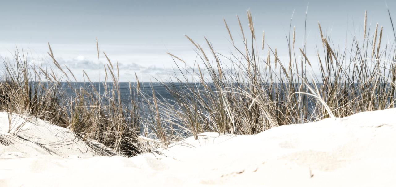 6110/01 INT.45X95-EST. 50X100 + DP. 081_4595 - frontale