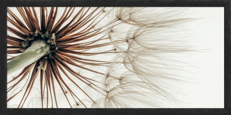 DECOPOSTER BLACK DP83 - catalogo
