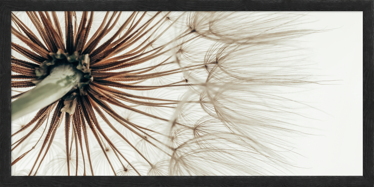 6110/09 INT.45X95-EST. 50X100 + DP. 083_4595 - catalogo