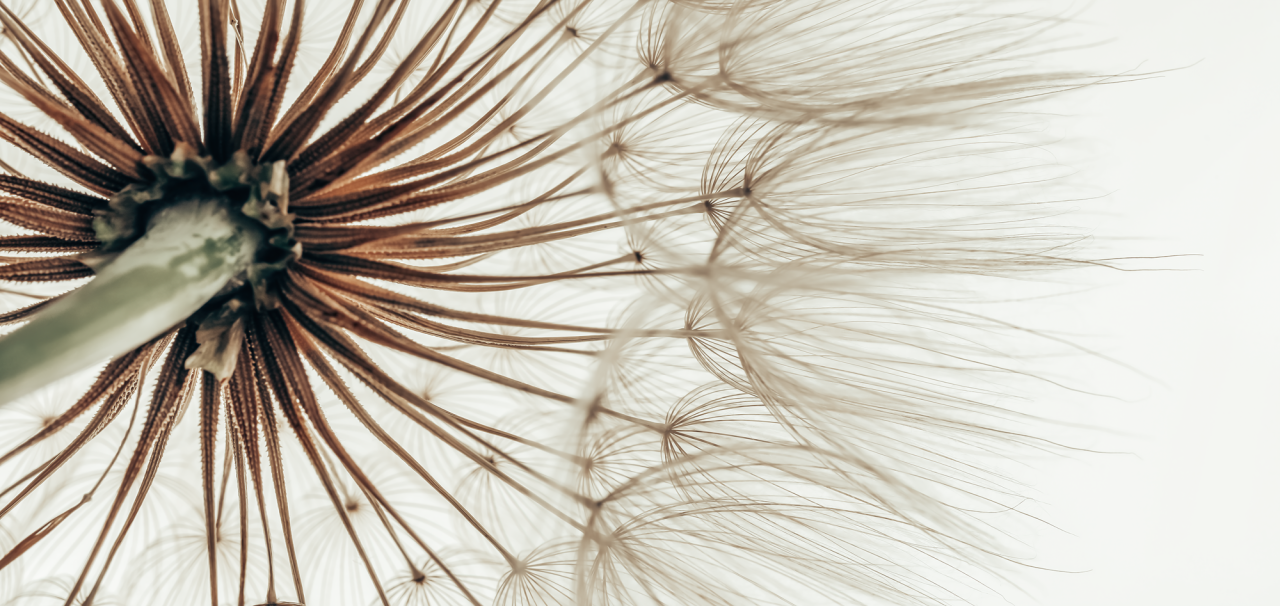 6110/09 INT.45X95-EST. 50X100 + DP. 083_4595 - frontale