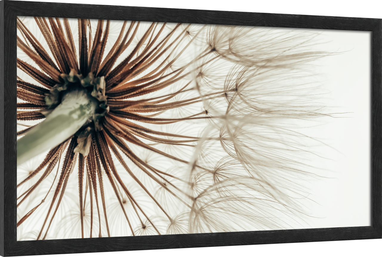 6110/09 INT.45X95-EST. 50X100 + DP. 083_4595 - laterale