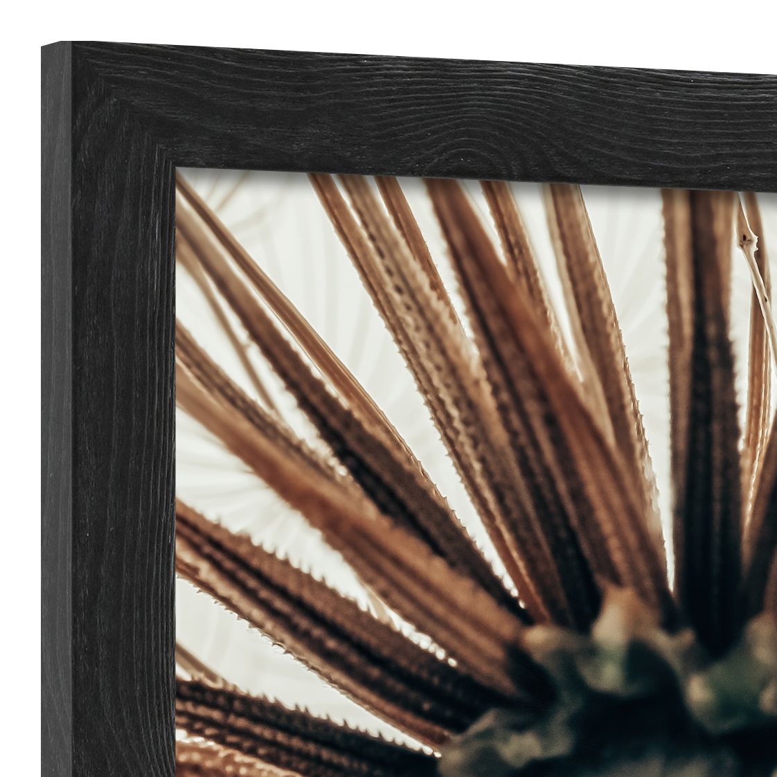 DECOPOSTER BLACK DP83