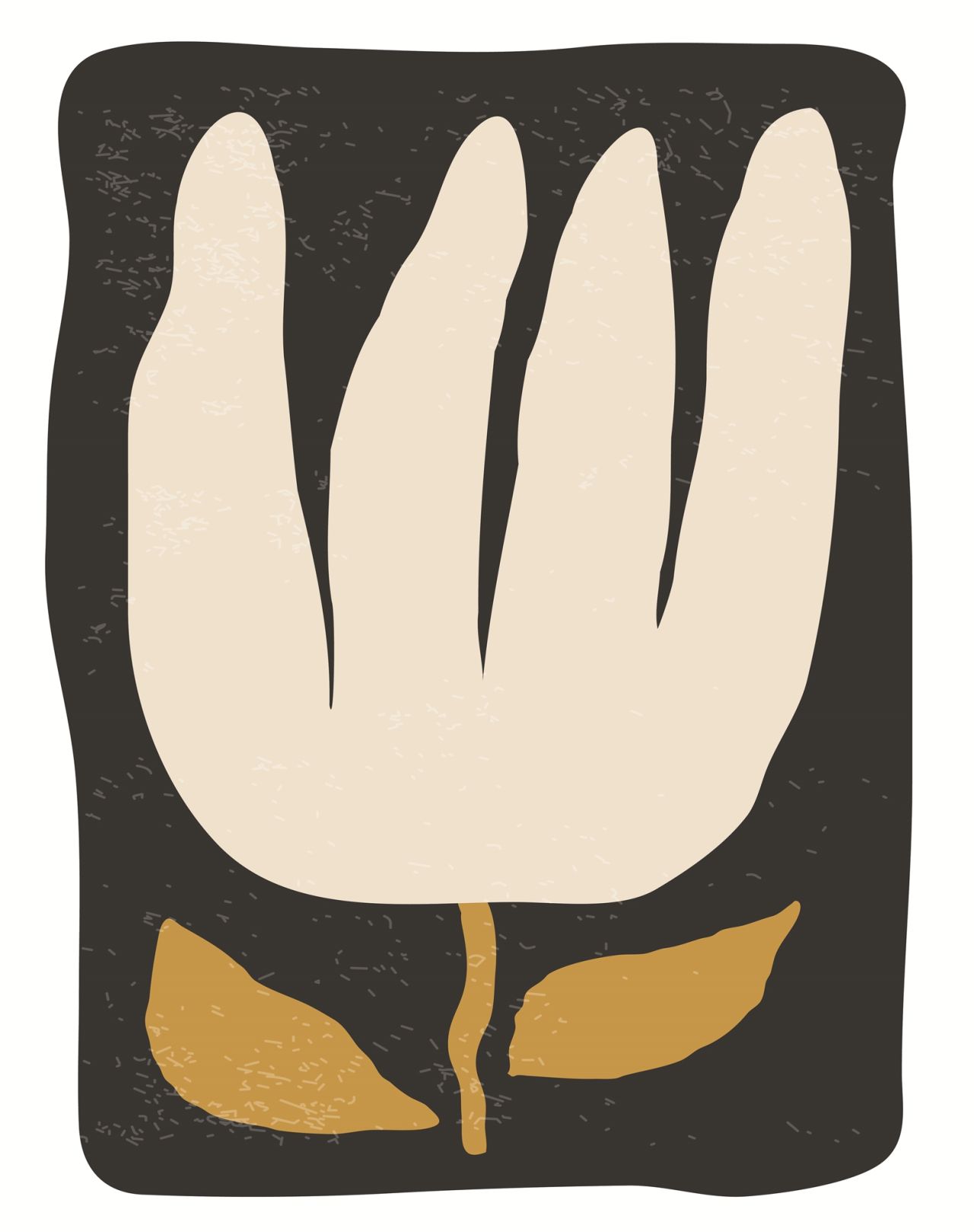 DECOPOSTER OAK DPG6 - frontale