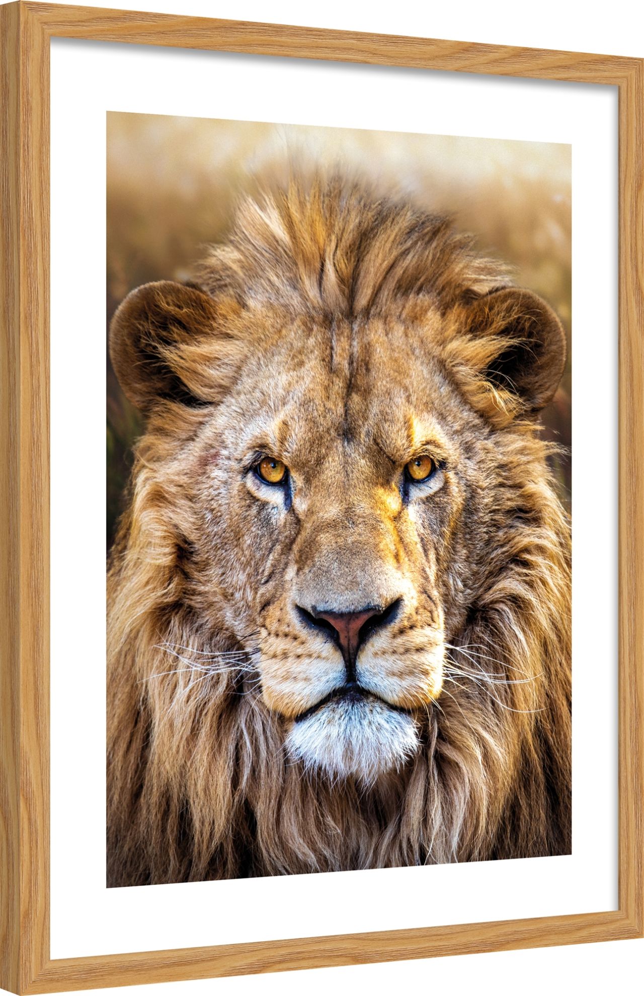 DECOPOSTER OAK DPG7 - laterale