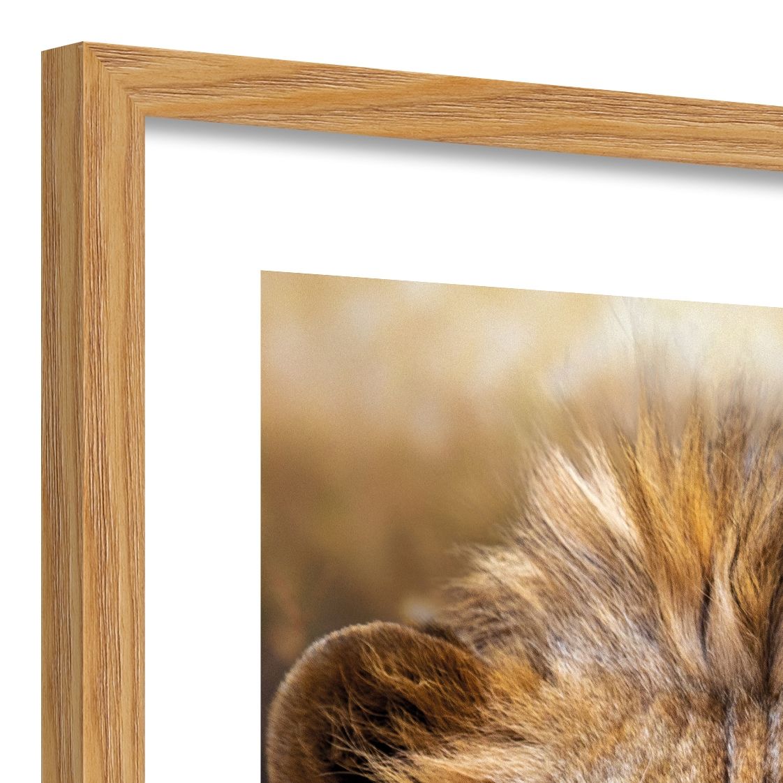 DECOPOSTER OAK DPG7