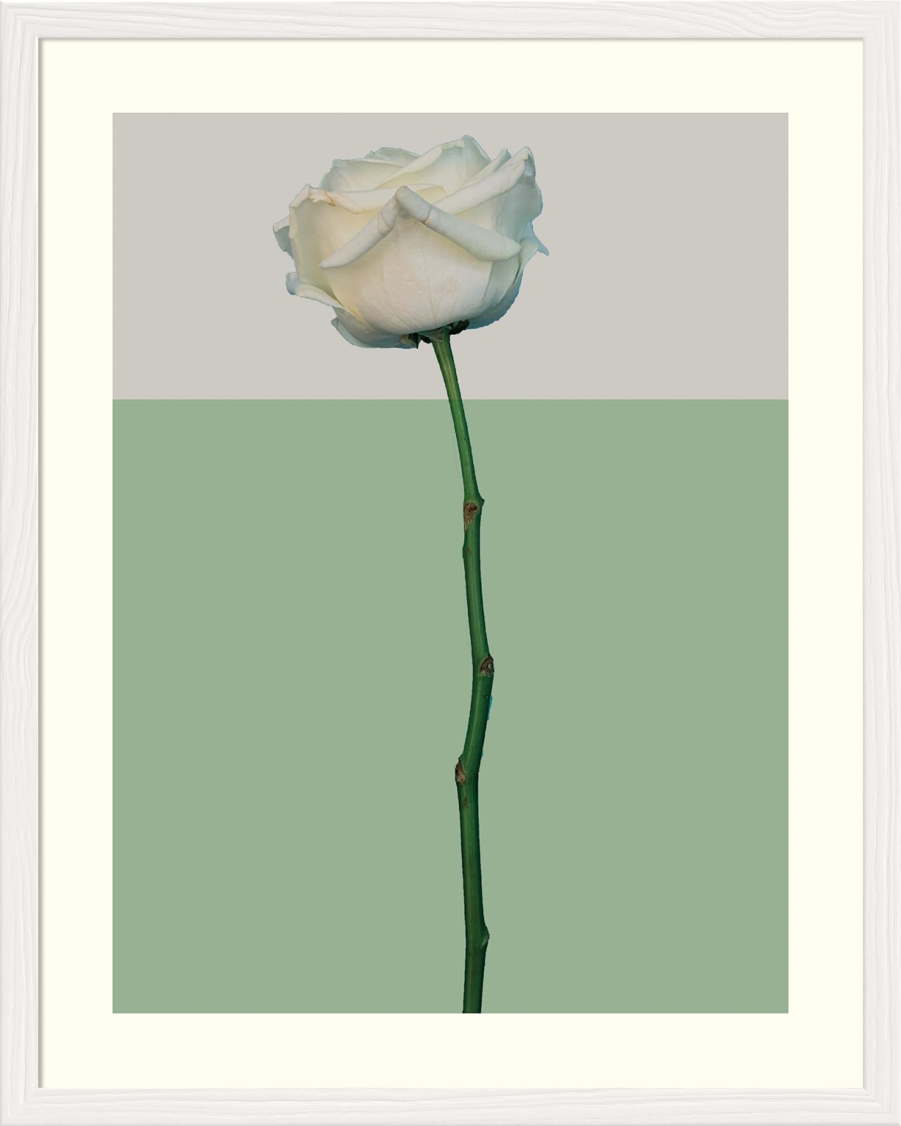 DECOPOSTER WHITE DPH2 - catalogo