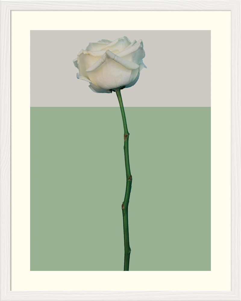 DECOPOSTER WHITE DPH2 - catalogo