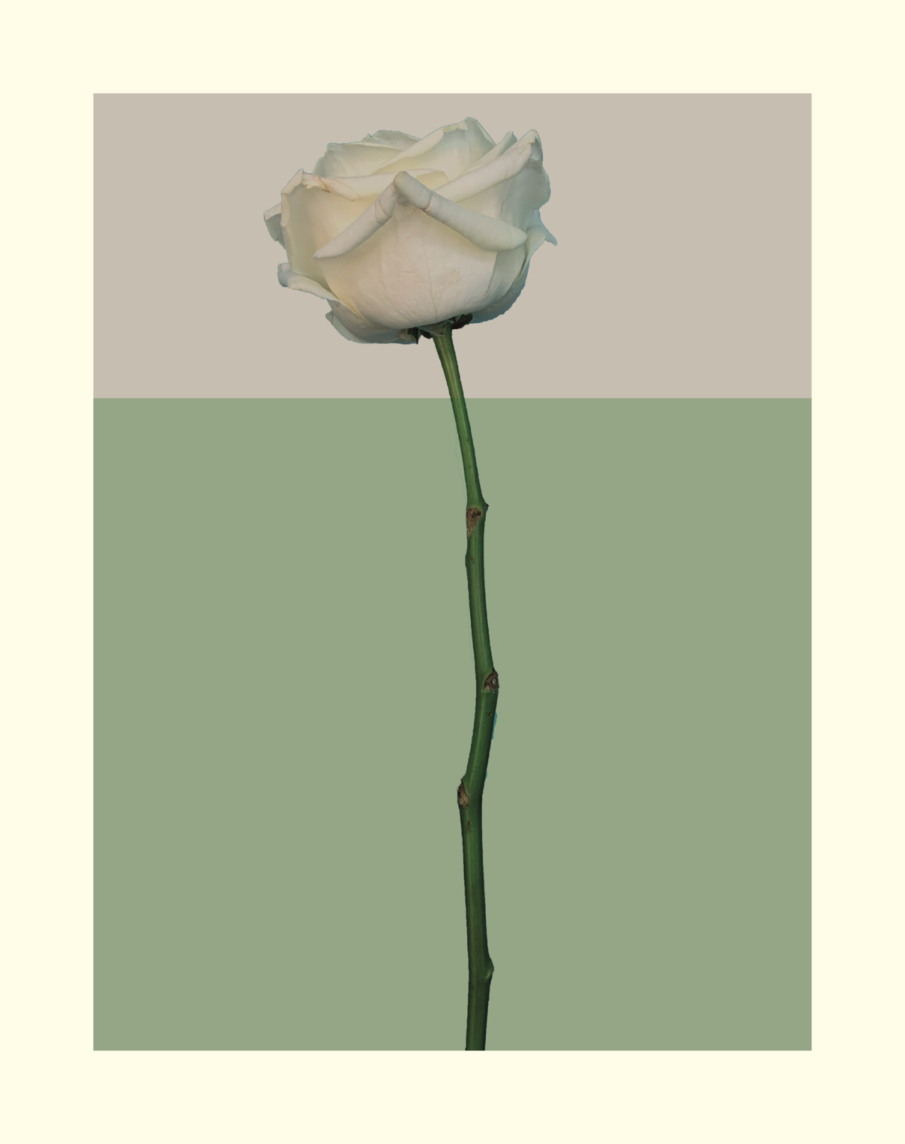 6340/08 INT.37,8X47,8-EST.40X50 + DP. 172_3747 - frontale