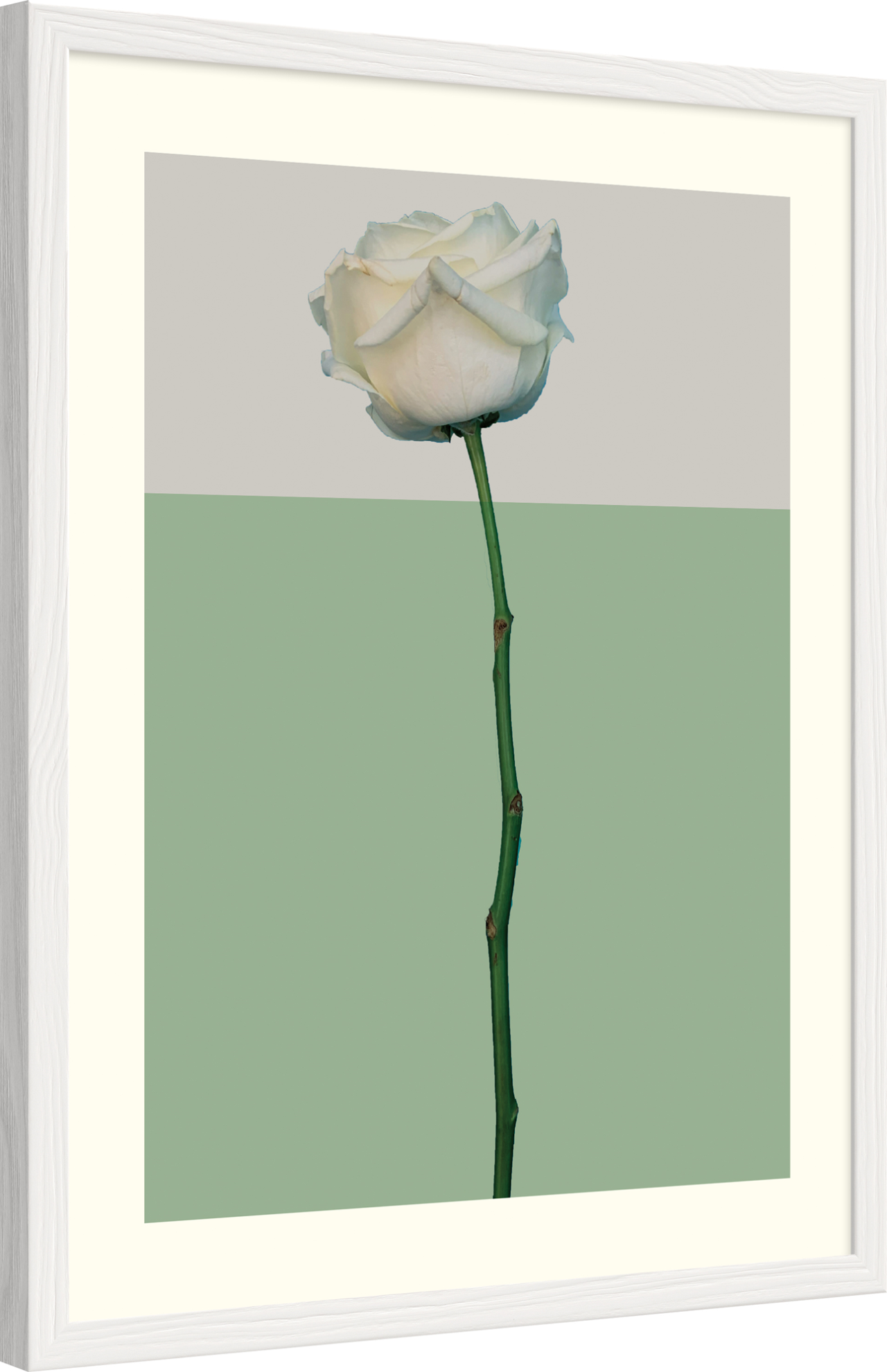 6340/08 INT.37,8X47,8-EST.40X50 + DP. 172_3747 - laterale