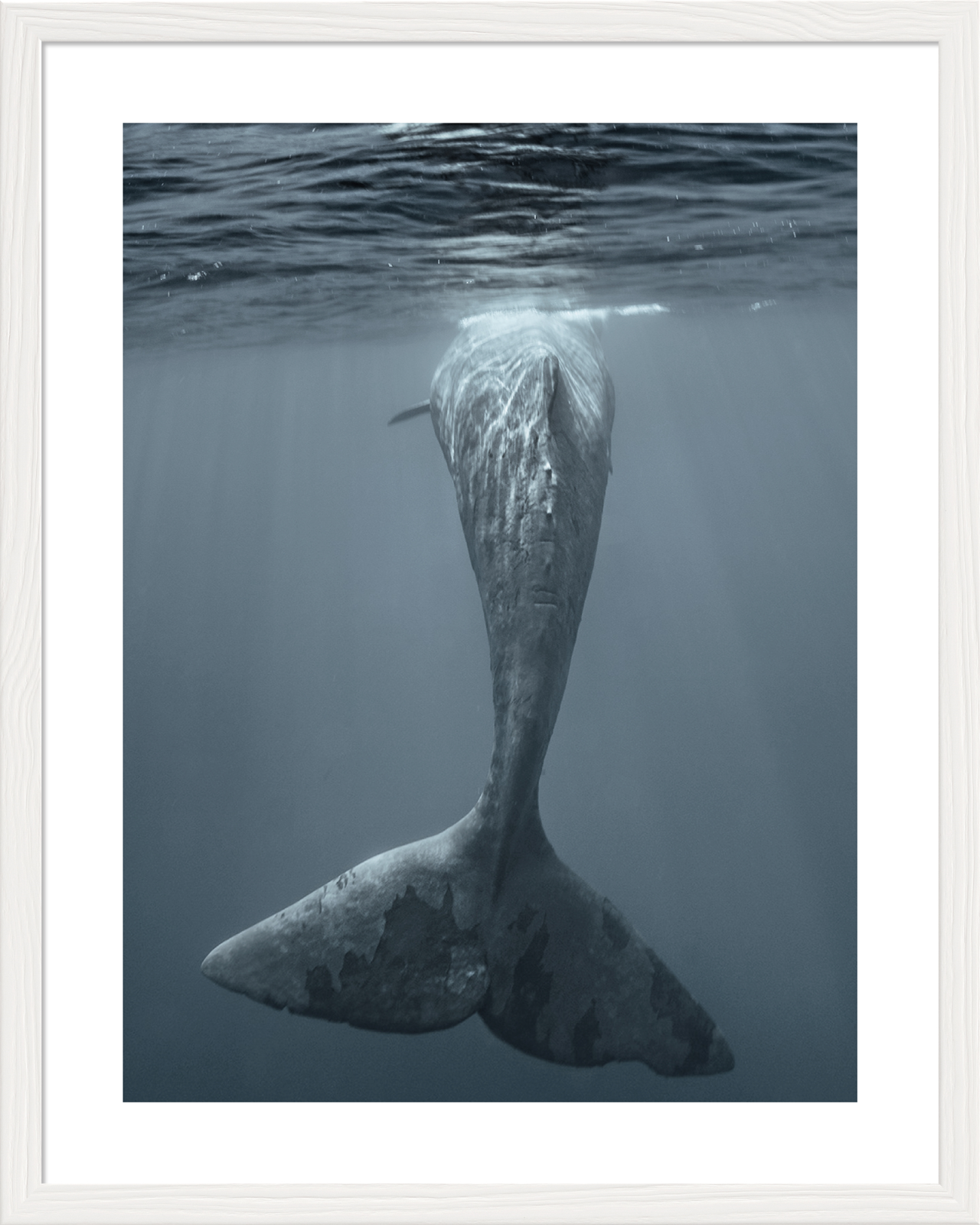 6340/08 INT.37,8X47,8-EST.40X50 + DP. 175_3747 - catalogo