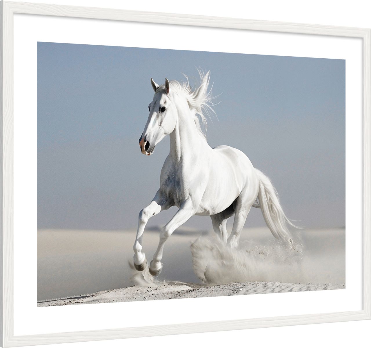 DECOPOSTER WHITE DPI7 - laterale