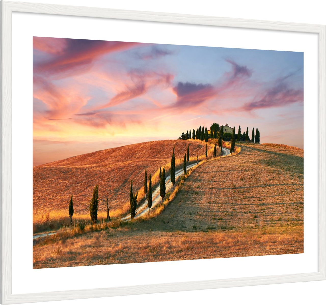 DECOPOSTER WHITE DPI8 - laterale