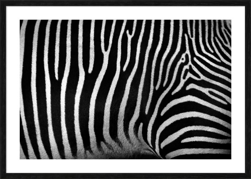 DECOPOSTER BLACK DPL2 - catalogo