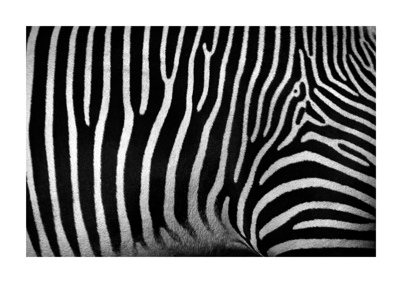 6340/09 INT.47,8X67,8-EST.50X70 + DP. 192_4767 - frontale