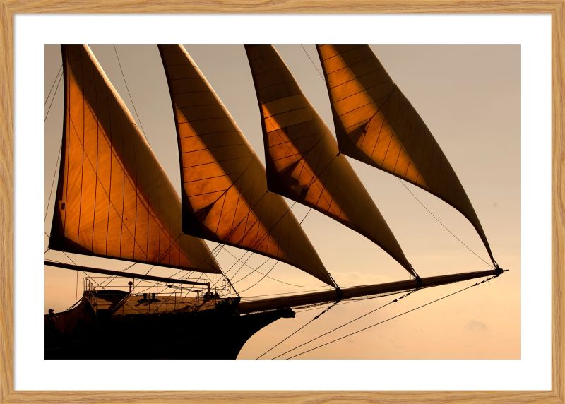 DECOPOSTER OAK DPL4 - catalogo