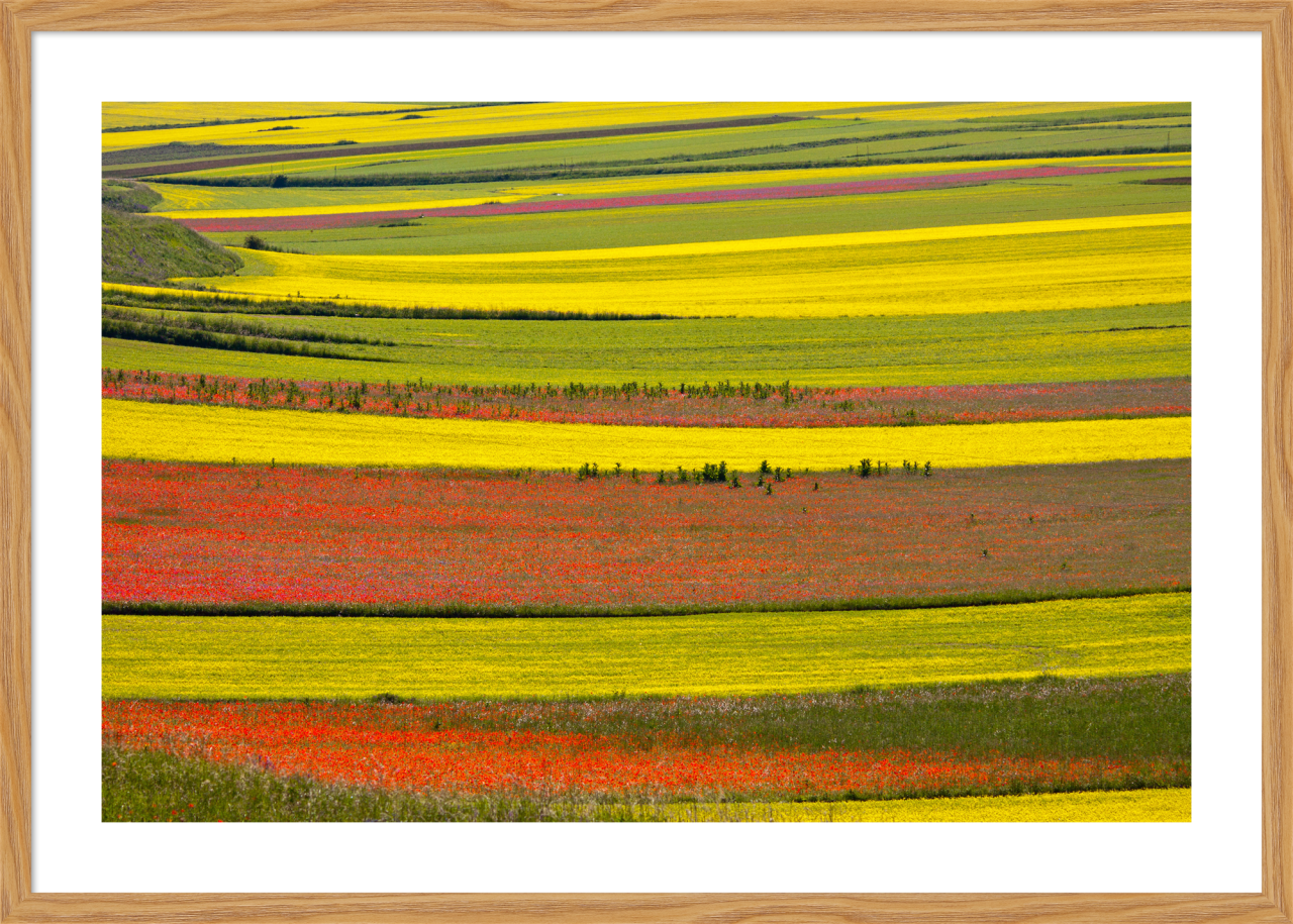 6340/01 INT.47,8X67,8-EST.50X70 + DP. 196_4767 - catalogo