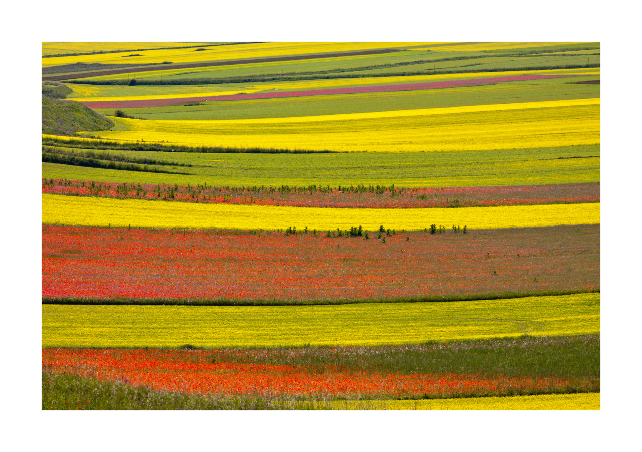 6340/01 INT.47,8X67,8-EST.50X70 + DP. 196_4767 - frontale