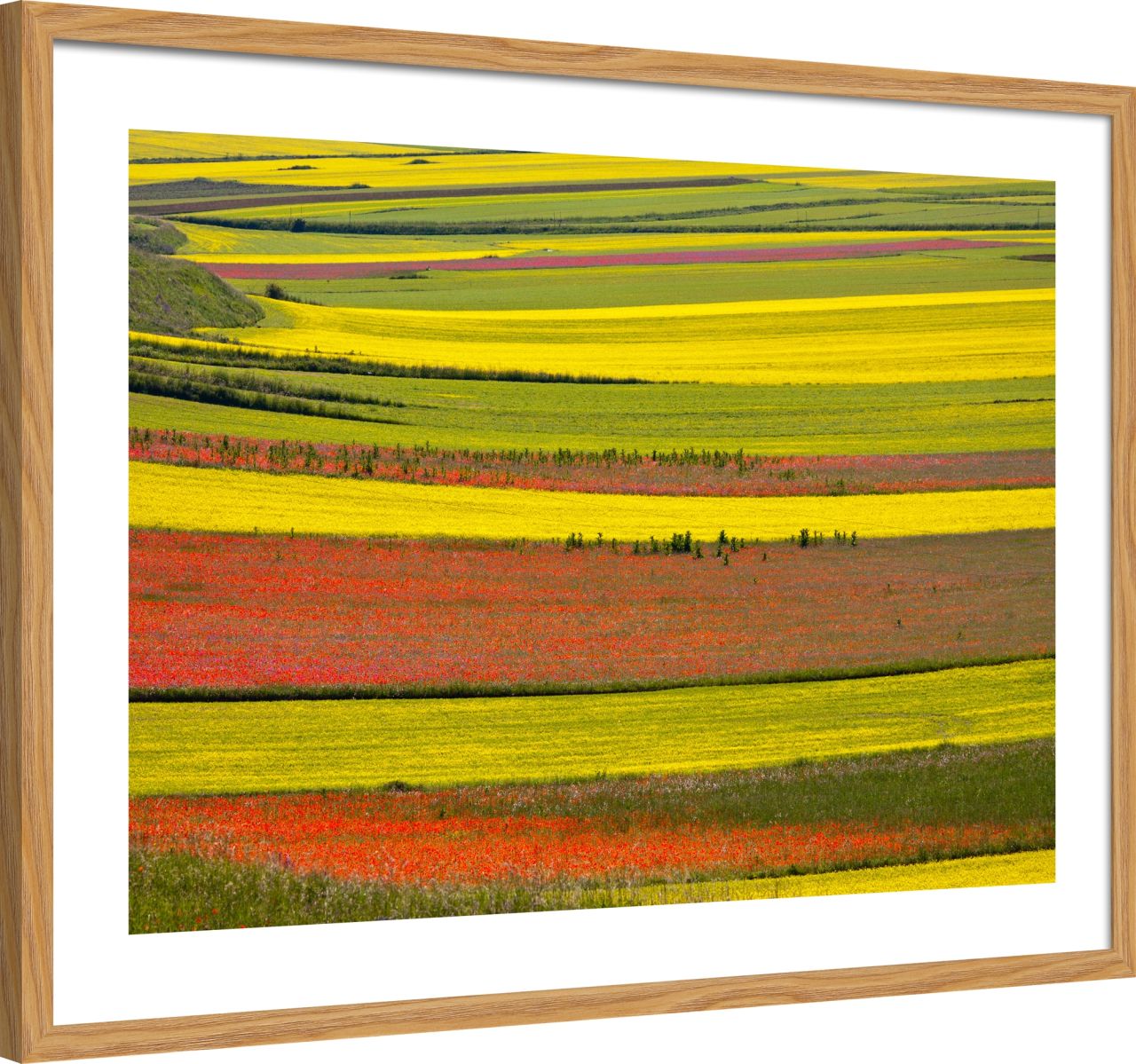 DECOPOSTER OAK DPL6 - laterale