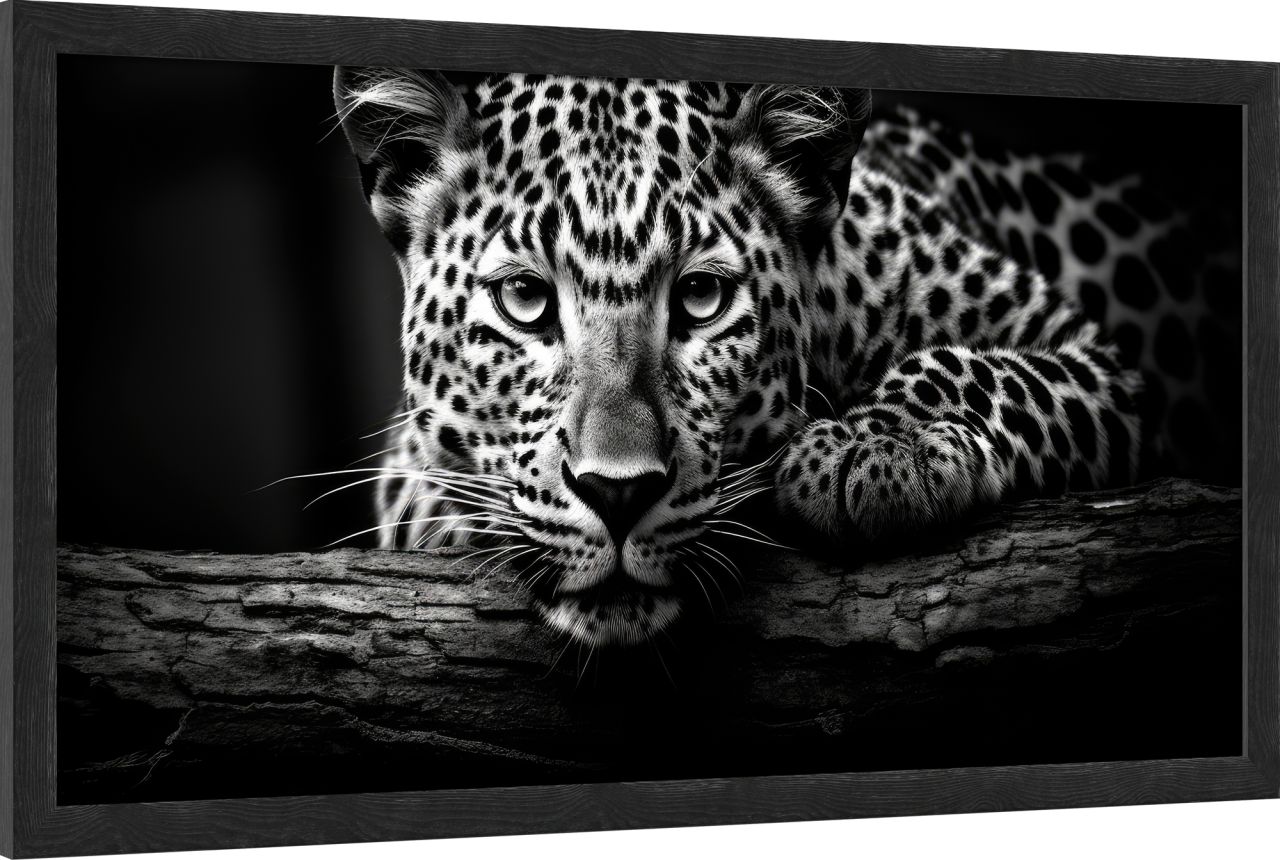 DECOPOSTER BLACK DPN4 - laterale