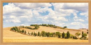 DECOPOSTER OAK DPN8 - catalogo
