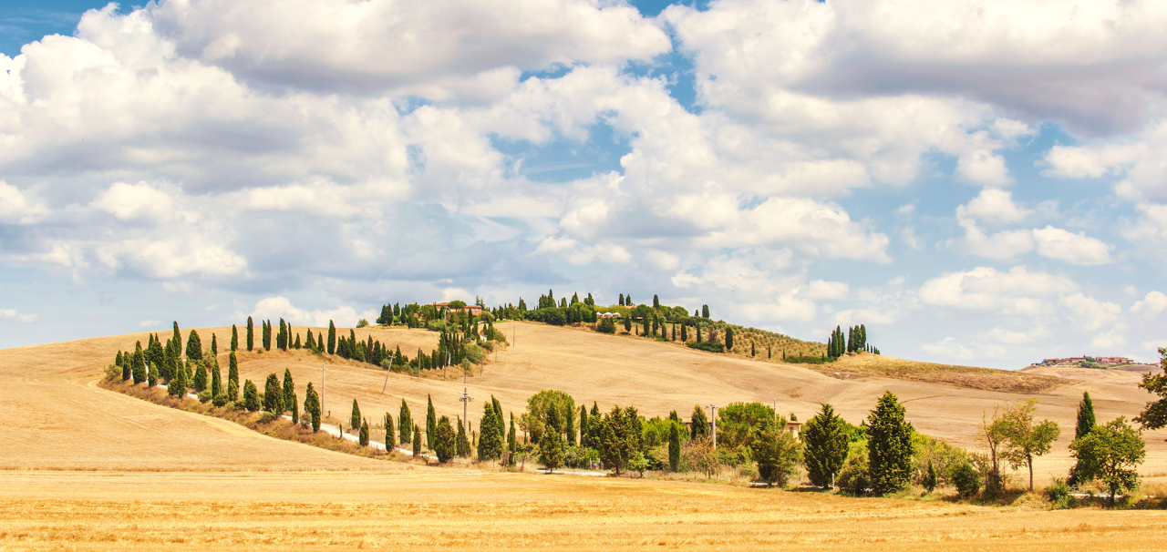 6110/03 INT.45X95-EST. 50X100 + DP. 218_4595 - frontale