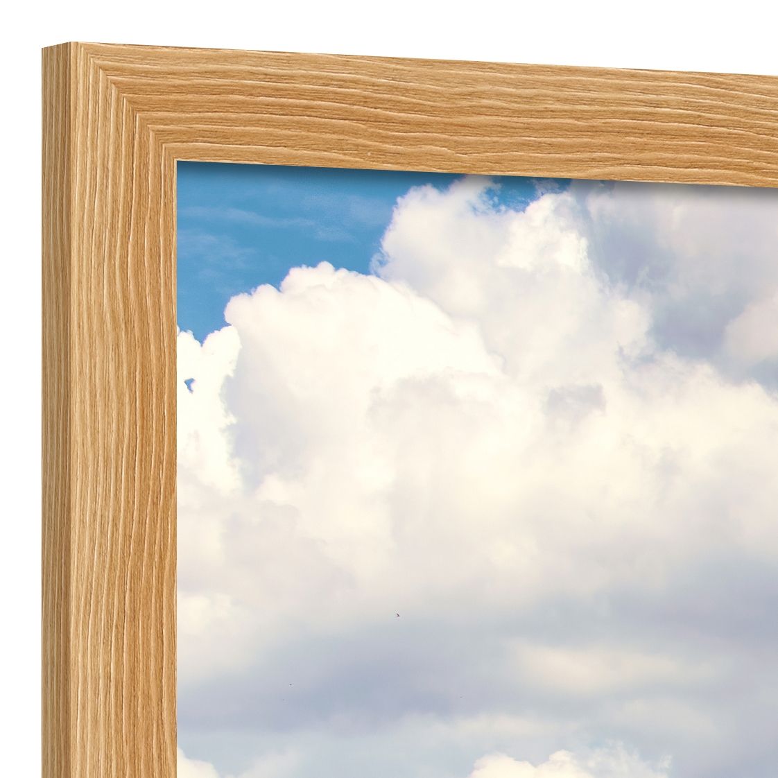 DECOPOSTER OAK DPN8