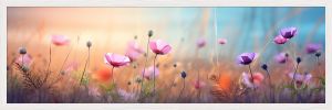 DECOPOSTER WHITE DPP2 - catalogo