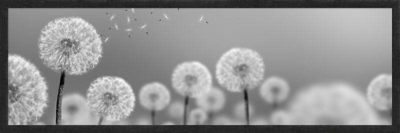 DECOPOSTER BLACK DPP7 - catalogo