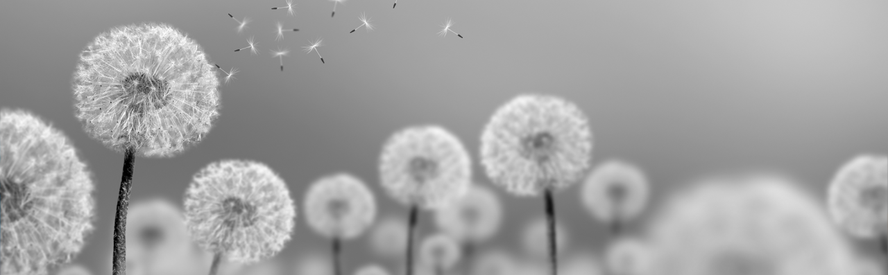 6110/09 INT.45X145-EST.50X150 + DP.237_45E5 - frontale