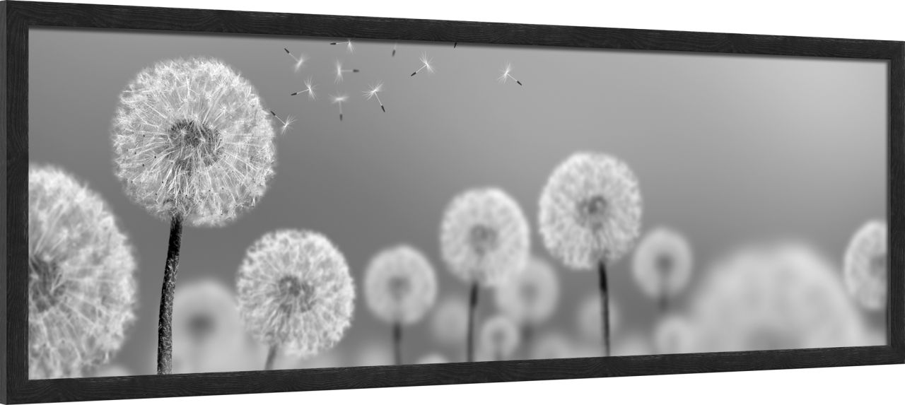 DECOPOSTER BLACK DPP7 - laterale